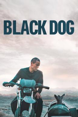 Black Dog สี่ขาหัวใจไม่ดำ (2024)